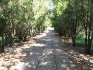 Хорли з panoramio.com