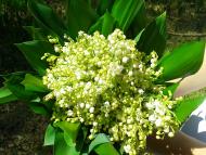 Гранітне з panoramio.com