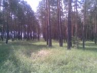 Баранне - Останні фото