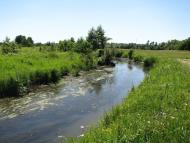 Jabluchne - Latest photos