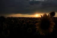 Первомайський з panoramio.com