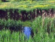 Волна з panoramio.com