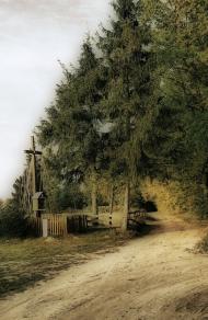 Вишнівка з panoramio.com