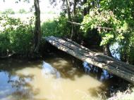 Jabluchne - Latest photos