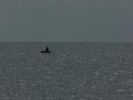 Білосарайська Коса з panoramio.com