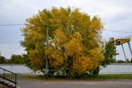 Павлівка з panoramio.com
