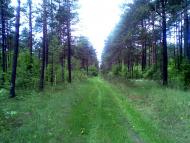 Баранне - Останні фото