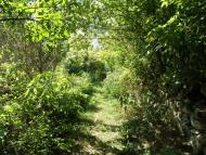 Трудове - Останні фото