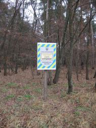 Залізняк з panoramio.com