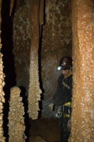 Пчелиное - Последние фото