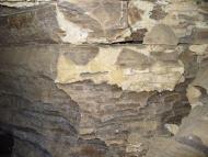 Залісся з panoramio.com