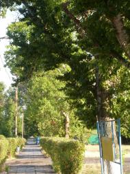 Златоустове з panoramio.com