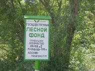 Малинівка з panoramio.com