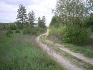 Любка - Останні фото