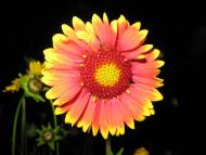 Устинкова Гребля з panoramio.com