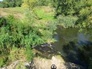 Рябоконеве з panoramio.com