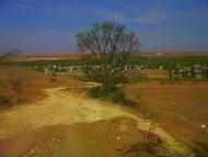 Каштани з panoramio.com