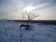 Vasylivka - Latest photos