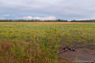 Хотімля з panoramio.com