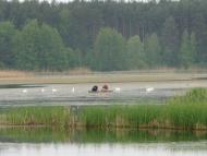 Маслівка - Останні фото