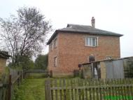 Берлоги - Останні фото