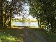 Florianivka - Latest photos