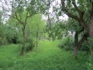 Баранне з panoramio.com