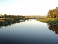 Комар - Останні фото