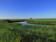 Волна - Последние фото