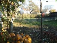 Липча з panoramio.com