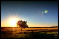 Урожайне з panoramio.com