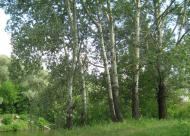 Завгороднє з panoramio.com