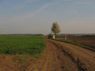 Тишківка з panoramio.com