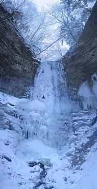 Ясень з panoramio.com