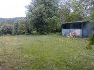 Гринячка - Останні фото