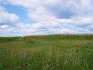 Антонівка з panoramio.com