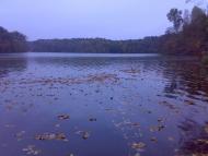 Велика Любаша з panoramio.com