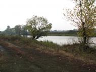 Вишеньки з panoramio.com