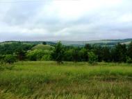 Велика Андрусівка - Останні фото