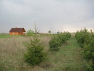 Мотижин з panoramio.com