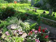 Щастя з panoramio.com