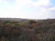 Інгульське з panoramio.com