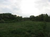 Тимченки з panoramio.com