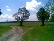 Баранне з panoramio.com