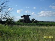 Болотниця - Останні фото