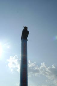 Ковыльное - Последние фото