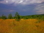 Щасливе з panoramio.com