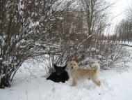 Орджонікідзе з panoramio.com