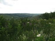 Верхня Слобідка з panoramio.com