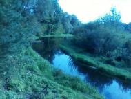 Перешпа з panoramio.com